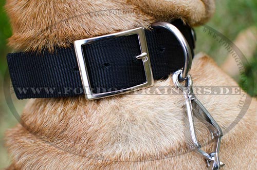 Nylon collar for German Boxer adjustable
