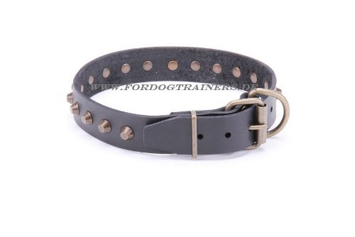 Luxus Hundehalsband Luxus kaufen