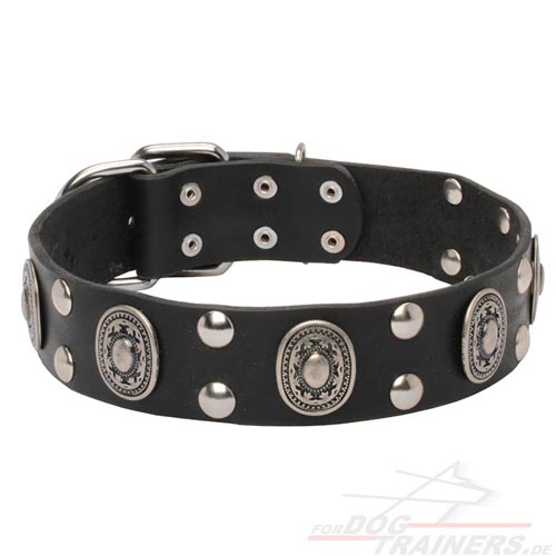 Studded collar in Gothik Style for walks