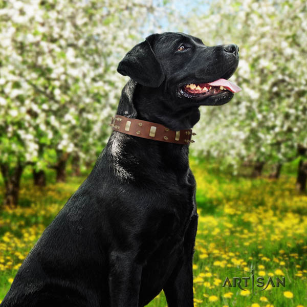 Braunes Halsband aus Leder für Labrador