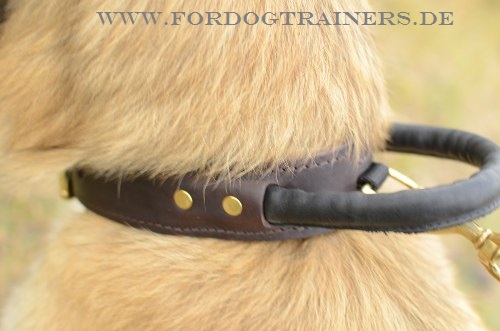 Tervueren Training Halsband aus Leder