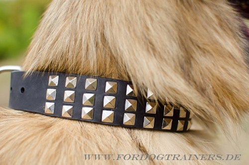 Tervueren Hundehalsband handverziert