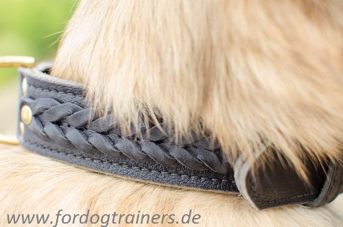  Halsband online kaufen