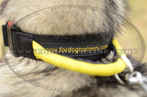 Nylonhalsband Sport für Alaskan
Malamute