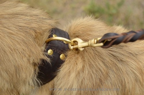 Tervueren Halsband kaufen