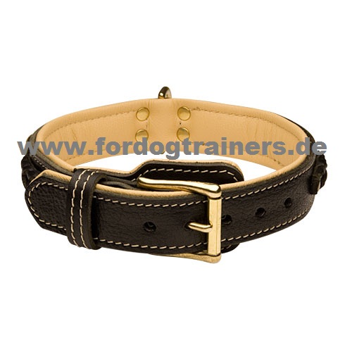Elegant leather dog collar