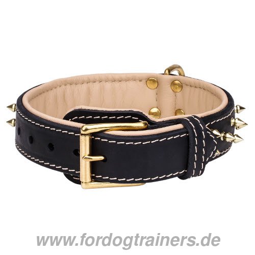 Hundehalsband für Tervueren kaufen