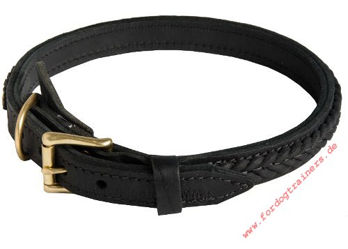 Halsband aus Leder