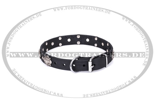  Leder Hundehalsband, abriebfest