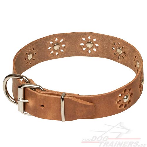 Hunde
Halsband mit Blumen