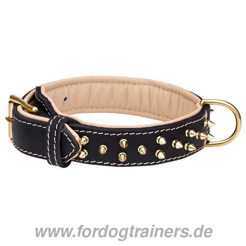 Lederhalsband bequem für Shar Pei