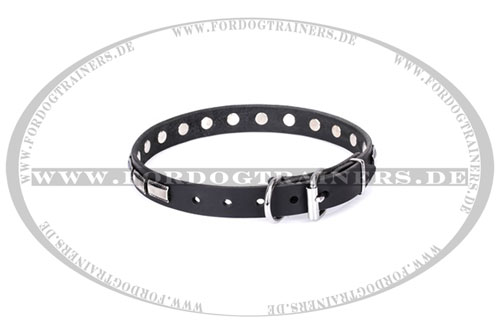 handgeschaffanes Leder Hundehalsband