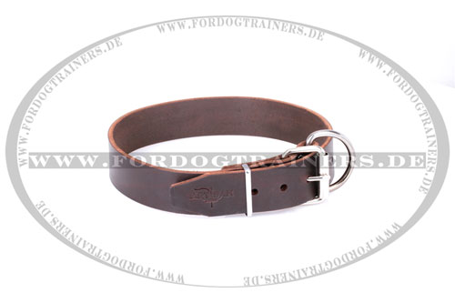 hochwertiges Leder Hundehalsband