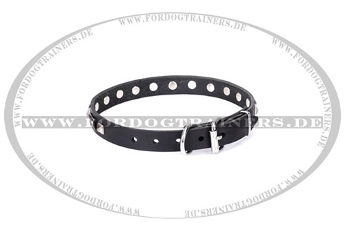  Leder Hundehalsband, hochwertig