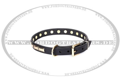 spitzenqualitatives Leder Hundehalsband