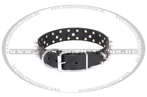 spitzenqualitatives Leder Hundehalsband