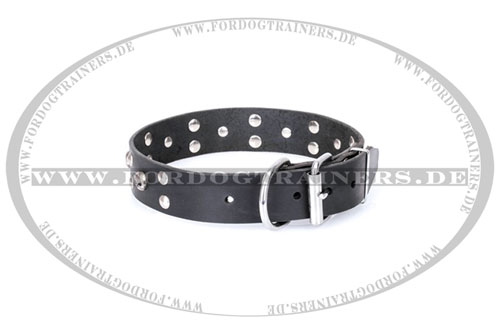 Leder Hundehalsband für Ausläufe