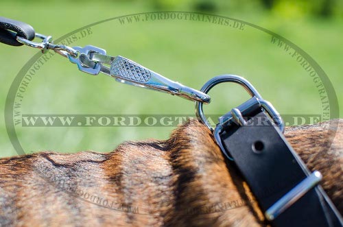  buy robust German Shepherd leather dog collar with buckle and studs
