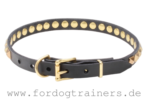  Leder Hundehalsband, stilvoll