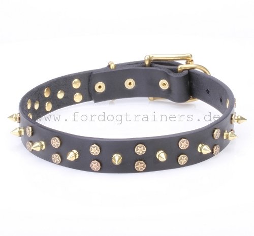 Hundehalsband aus Leder mit Messing Spikes und Sternchen