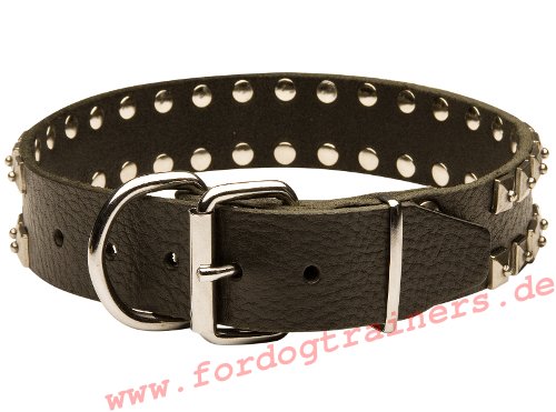 Studded dog collar for Stafford buy