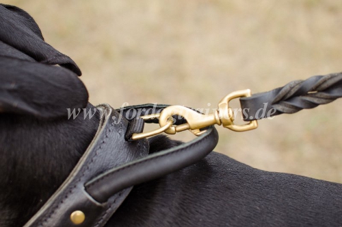 Buy Rottweiler leather collar