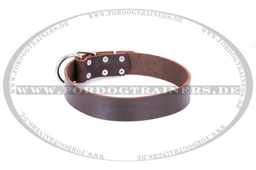 Hundehalsband Leder in klassischem Design