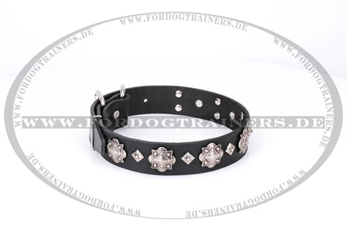 handverziertes Leder Hundehalsband