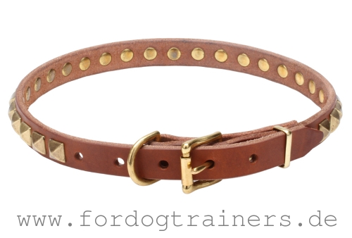 außergewöhnliches Leder Hundehalsband