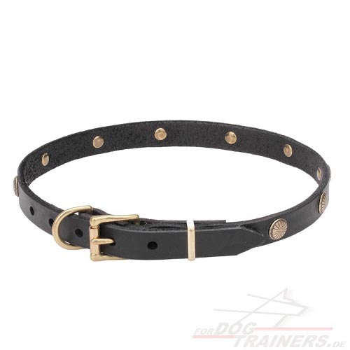 studded collar with handset studs