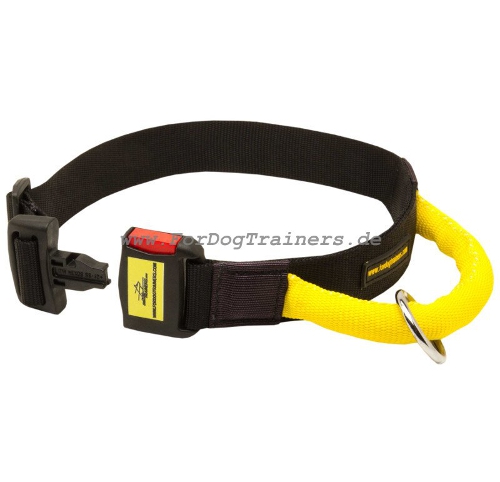 training halsband Hund kaufen