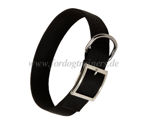 Usual dog collar of nylon buy