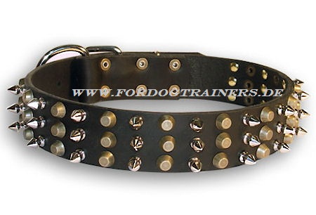 Studded dog collar made of leather buy