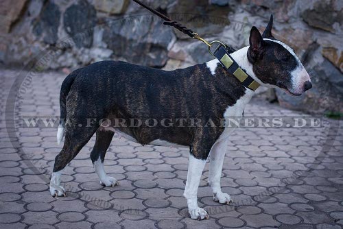 Nieten Hundehasband für 
Bullterrier