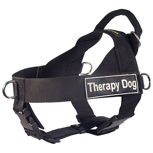 Therapy Dog Patch