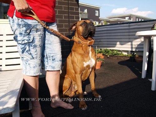 Leder Hundeleine für Boxer 