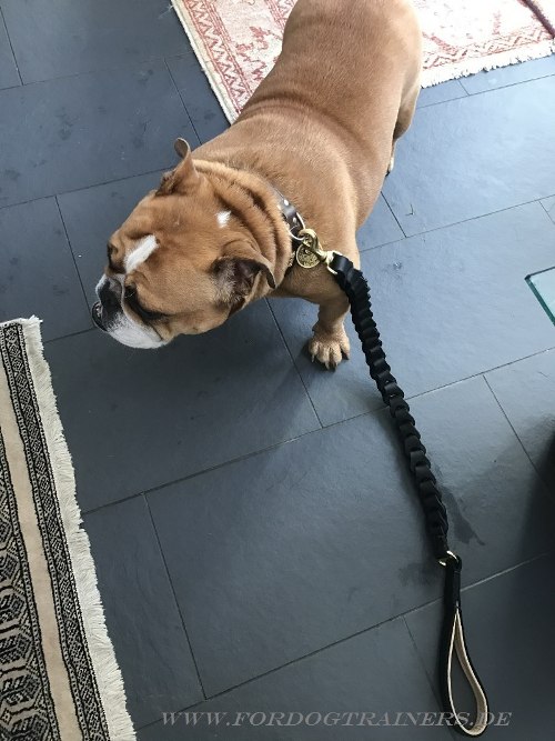 Braided Leather Dog Leash for Bulldog