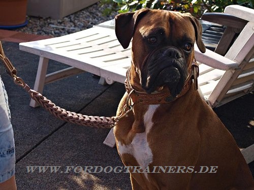 Hundeleine aus Leder für Boxer 