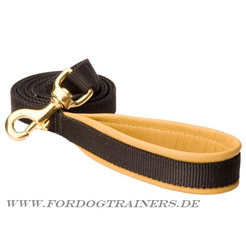 dog leash of nylon buy