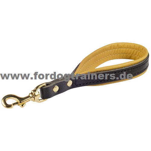 Leather leash for training