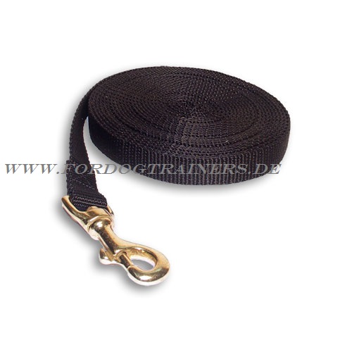 dog leash of nylon buy