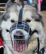 Drahtkorb mit Polsterung für Alaskan Malamute