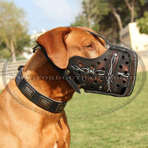 Rhodesian
Ridgeback leather dog muzzle buy