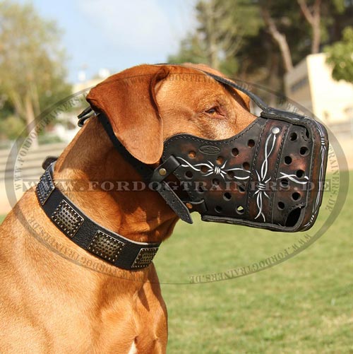 Leder Maulkorb
mit Bemalung für Rhodesian
Ridgeback kaufen