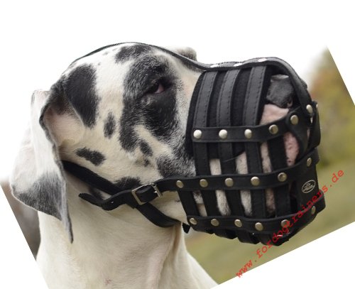 Great Dane
muzzle buy online