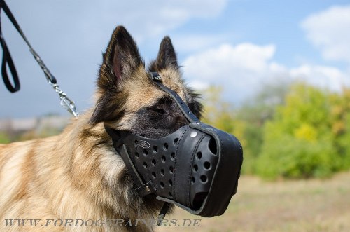 Geschlossener Lederbeißkorb für Hundetraining und Dienst 