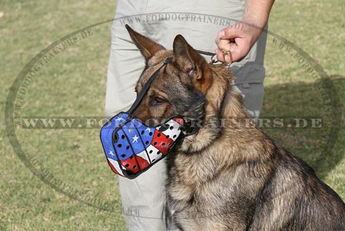 Leder Maulkorb mit Bemalung für Deutschen Schäferhund kaufen