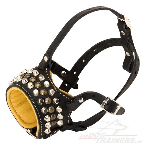 American Bulldog leather dog muzzle with spikes
