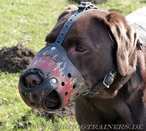 Hundemaulkorb für Labrador mit Bemalung