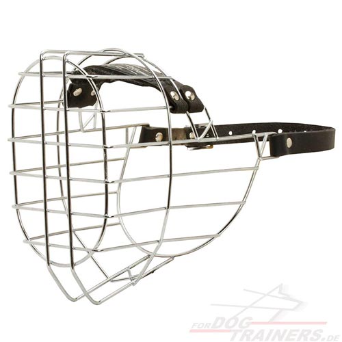 Wire dog muzzle for big dogs buy